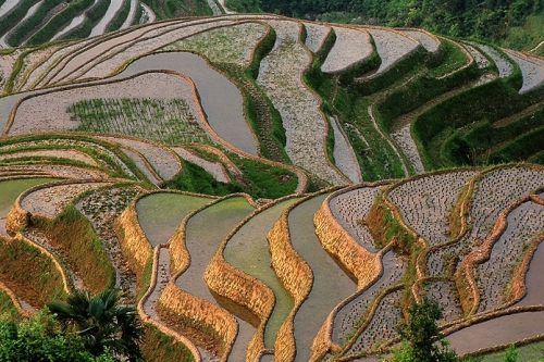 Yangshou Nature Tours